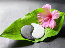 Schmerzen behandeln mit Akupunktur und TCM in München
